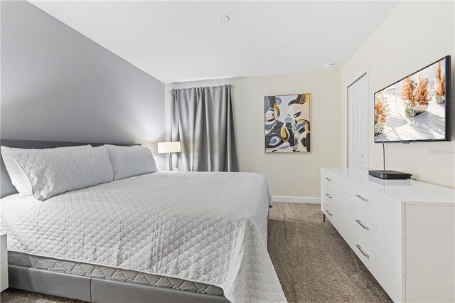 8833 Cruden Bay Ct, Davenport, FL 33896 - bedroom featuring baseboards and carpet