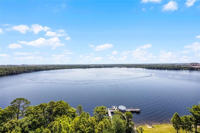 13415 Blue Heron Beach Dr Unit 1503, Orlando, FL 32821 - photo 5
