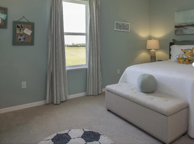 6 Fringetree Ct, Homosassa, FL 34446 - bedroom featuring carpet and baseboards