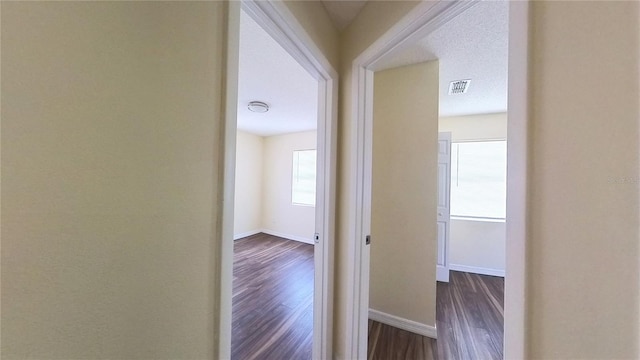 2031 Warrens Ave, Maitland, FL 32751 - photo 12