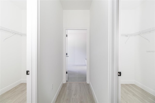 7229 N Gibralter Dr, Citrus Springs, FL 34434 - hallway with light wood finished floors and baseboards