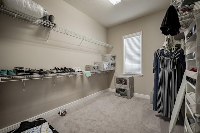 spacious closet featuring carpet