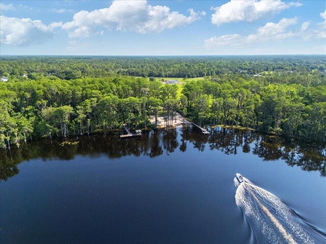 2659 Hibbard Trl, Chuluota, FL 32766 - photo 9