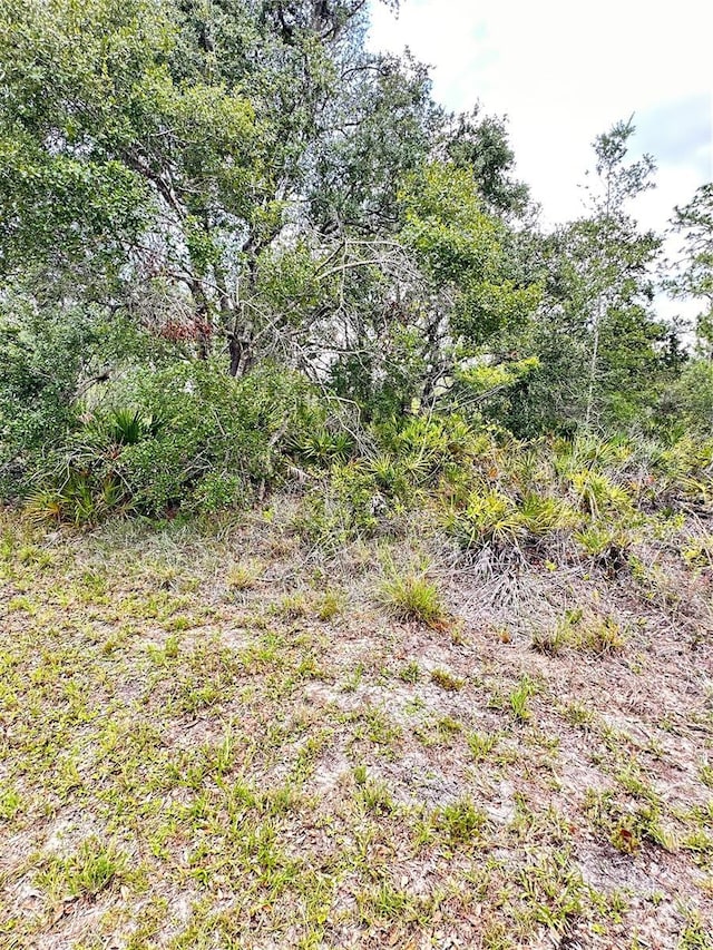 514 Indian Lake Dr, Indian Lake Estates, FL 33855 - photo 4