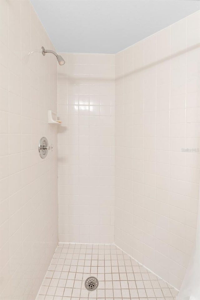 3900 Southpointe Dr Unit 127, Orlando, FL 32822 - full bathroom with tiled shower