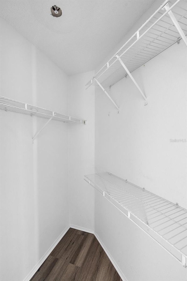 3900 Southpointe Dr Unit 127, Orlando, FL 32822 - walk in closet with dark wood-style floors