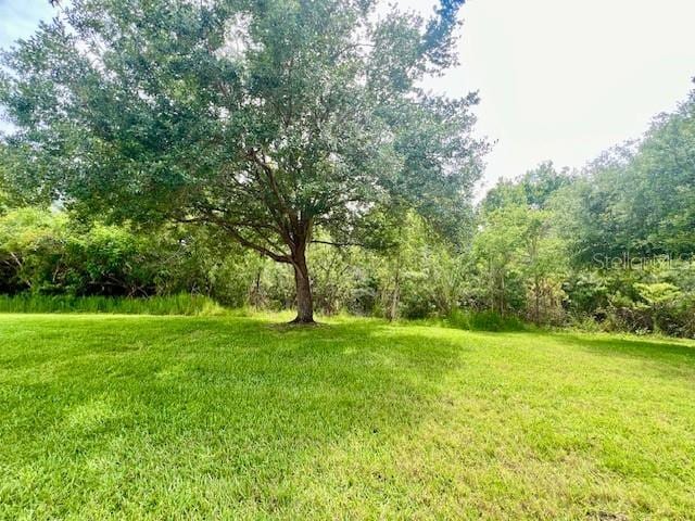 view of green lawn