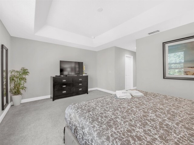 8215 Roseville Blvd, Davenport, FL 33896 - bedroom featuring carpet floors, a tray ceiling, and baseboards