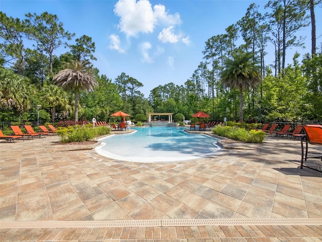 8215 Roseville Blvd, Davenport, FL 33896 - community pool with a patio area and view of wooded area
