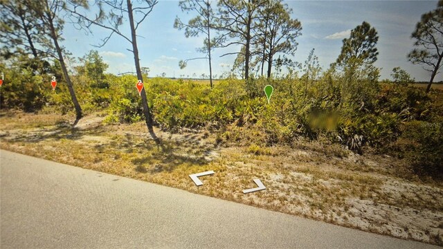 373 Christine St NW, Lake Placid, FL 33852 - photo 3