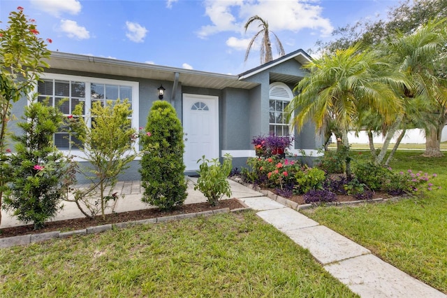 896 Satin Leaf Cir, Ocoee, FL 34761 - view of front of house with a front lawn and stucco siding