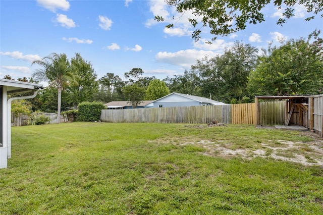 896 Satin Leaf Cir, Ocoee, FL 34761 - view of yard
