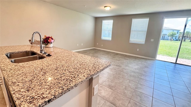 2450 Sweet Viburnum Way, Ocoee, FL 34761 - kitchen with a sink, baseboards, light stone counters, and light tile patterned flooring