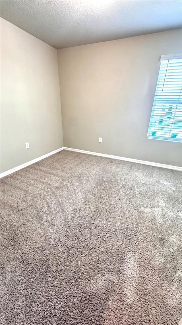 2450 Sweet Viburnum Way, Ocoee, FL 34761 - carpeted spare room with baseboards and a textured ceiling