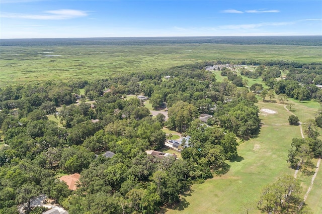 2922 SW 68th Ln, Gainesville, FL 32608 - bird's eye view of a heavily wooded area