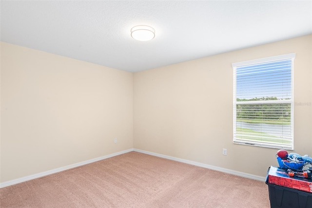 14095 Tropical Kingbird Way, Riverview, FL 33579 - unfurnished room with light carpet and baseboards