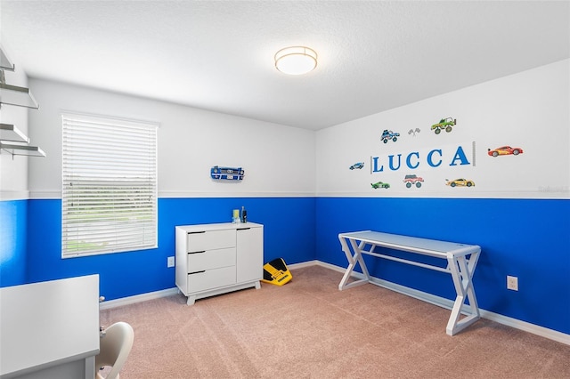 14095 Tropical Kingbird Way, Riverview, FL 33579 - carpeted bedroom with baseboards