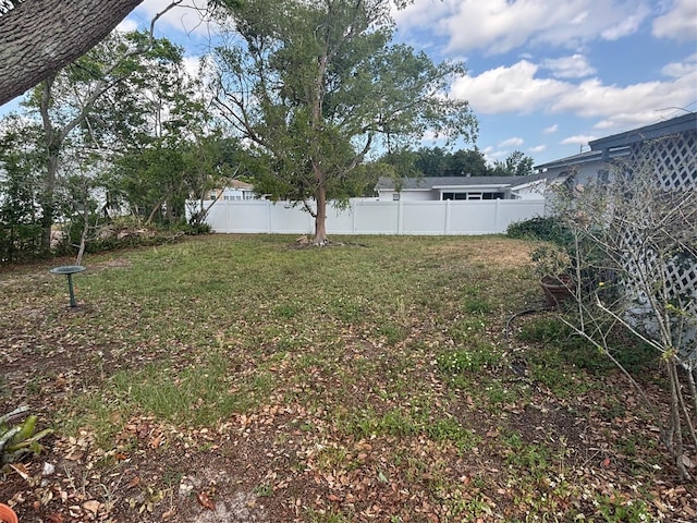 977 E Normandy Blvd, Deltona, FL 32725 - view of yard