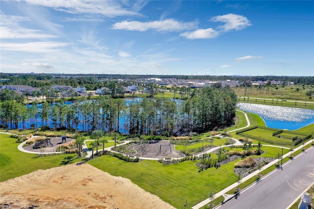 13081 Sunrise Harvest Dr, Winter Garden, FL 34787 - bird's eye view of a nearby body of water