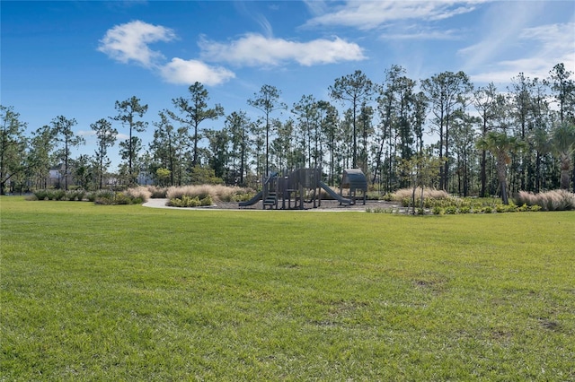 13081 Sunrise Harvest Dr, Winter Garden, FL 34787 - view of green lawn