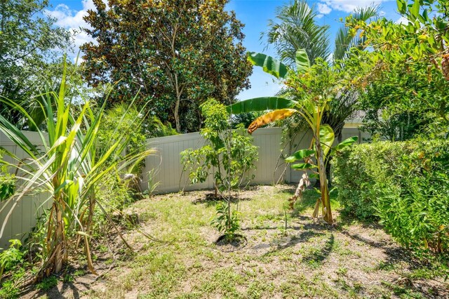 4571 Abaco Dr, Tavares, FL 32778 - view of fenced backyard