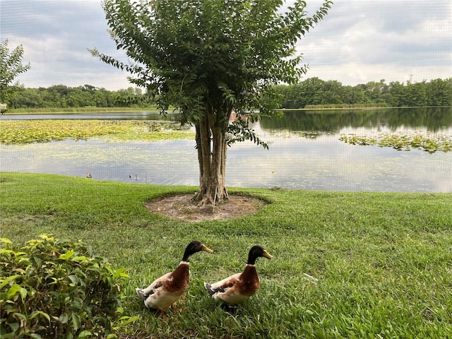 155 N Pearl Lake Cswy Unit 104, Altamonte Springs, FL 32714 - water view with a heavily wooded area