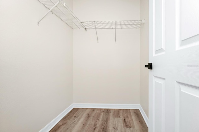 309 Black Springs Ln, Winter Garden, FL 34787 - walk in closet featuring light wood-type flooring