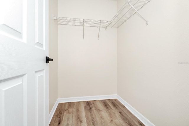 309 Black Springs Ln, Winter Garden, FL 34787 - walk in closet with light wood-type flooring
