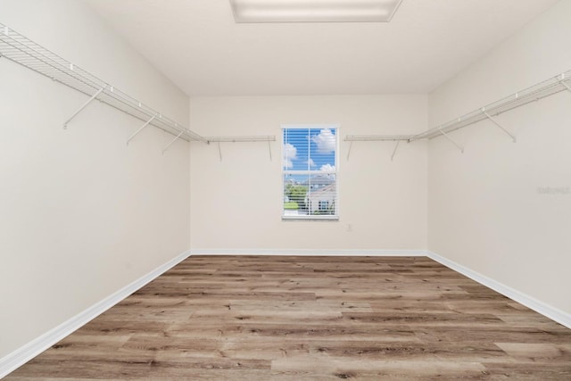309 Black Springs Ln, Winter Garden, FL 34787 - walk in closet featuring wood finished floors