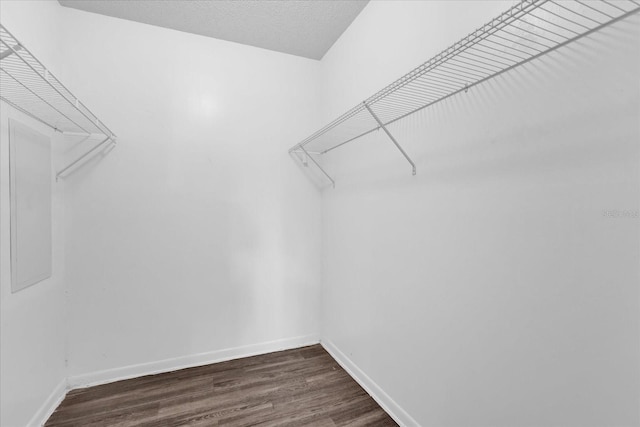 2357 E Dana Dr, Deltona, FL 32738 - spacious closet with attic access and dark wood finished floors