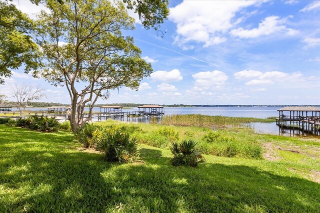 16761 Broadwater Ave, Winter Garden, FL 34787 - photo 46