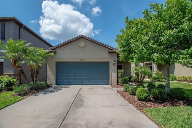 8410 Red Spruce Ave, Riverview, FL 33578 - view of front of home with an attached garage, driveway, and stucco siding