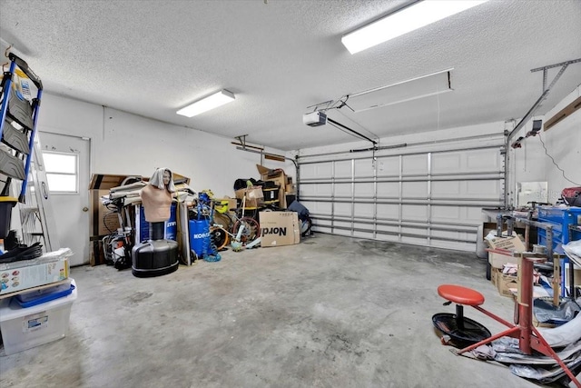2900 Hammock Dr, Plant City, FL 33566 - garage with a garage door opener