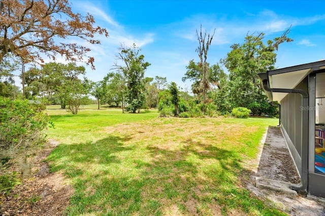 2900 Hammock Dr, Plant City, FL 33566 - view of grassy yard