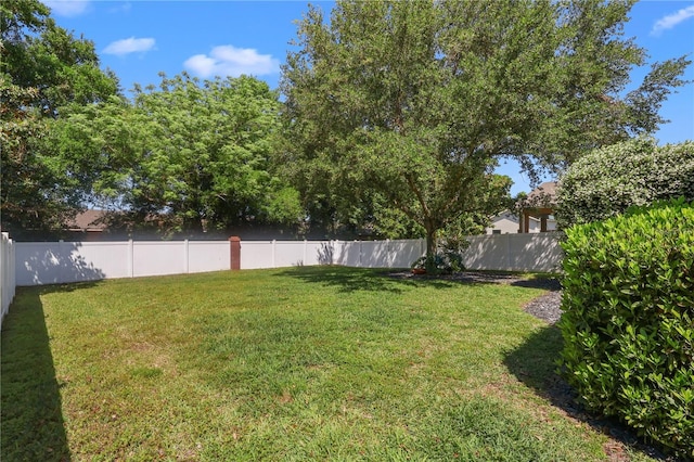 2762 Pepper Ln, Orlando, FL 32812 - view of yard
