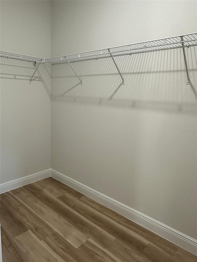 3063 SW 168th Loop, Ocala, FL 34473 - walk in closet with dark wood-style flooring
