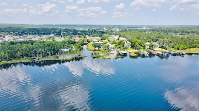 10352 Burris Ct, Orlando, FL 32836 - photo 3