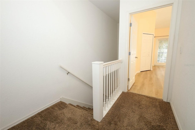 2493 Lancien Ct Unit 5, Orlando, FL 32826 - stairs featuring carpet floors