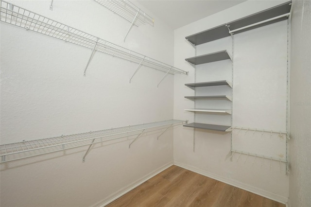 2493 Lancien Ct Unit 5, Orlando, FL 32826 - walk in closet featuring wood finished floors