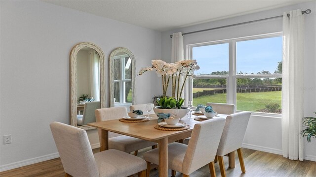 4246 Acoma Dr, Ormond Beach, FL 32174 - dining room with baseboards and light wood-style floors
