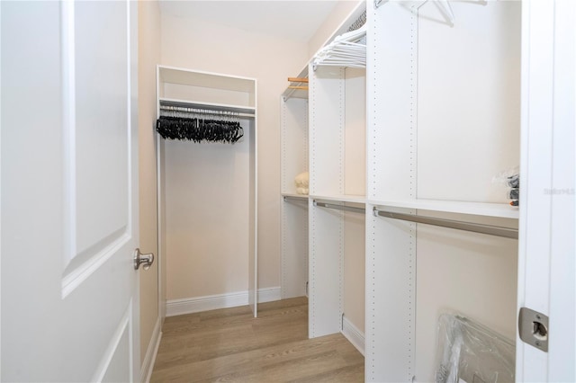 8419 Pippen Dr, Orlando, FL 32836 - walk in closet featuring light wood-type flooring
