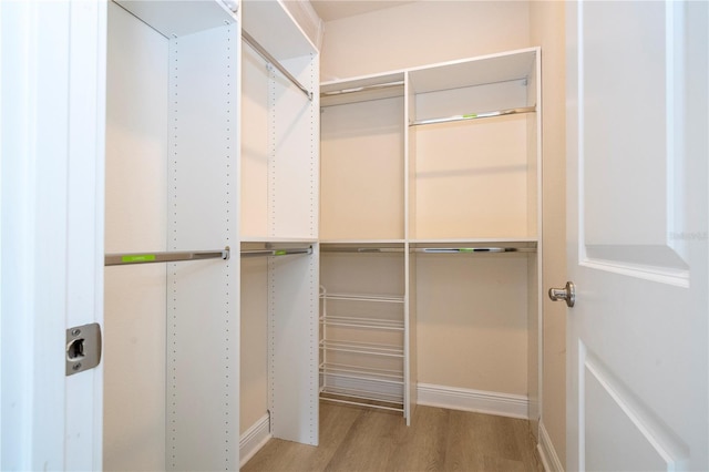 8419 Pippen Dr, Orlando, FL 32836 - walk in closet featuring light wood-type flooring
