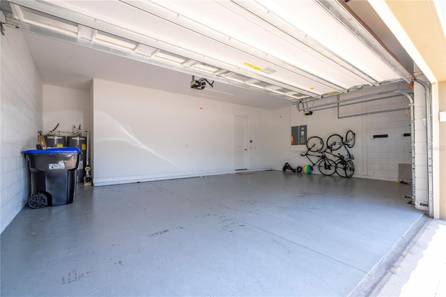 8419 Pippen Dr, Orlando, FL 32836 - garage with electric panel, a garage door opener, and electric water heater