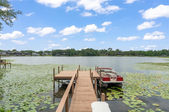4536 N Landmark Dr, Orlando, FL 32817 - dock featuring a water view