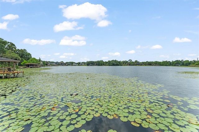 4536 N Landmark Dr, Orlando, FL 32817 - water view