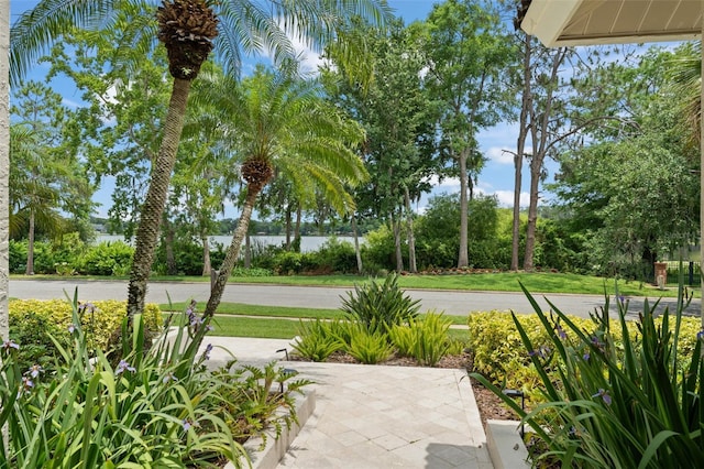 4536 N Landmark Dr, Orlando, FL 32817 - view of patio / terrace