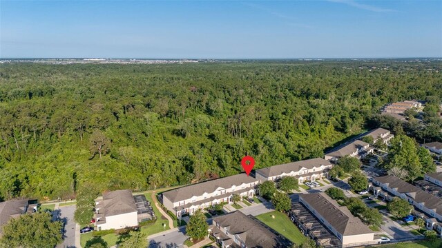 2346 Silver Palm Dr, Kissimmee, FL 34747 - photo 52