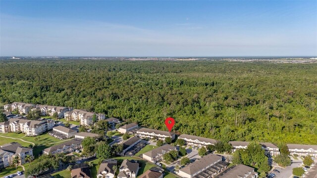 2346 Silver Palm Dr, Kissimmee, FL 34747 - photo 56