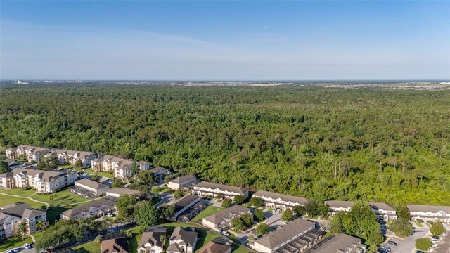 2346 Silver Palm Dr, Kissimmee, FL 34747 - photo 57