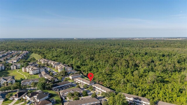 2346 Silver Palm Dr, Kissimmee, FL 34747 - photo 58